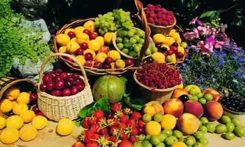 附近的花卉批發市場在哪里_附近的花卉市場批發_花卉批發附近市場在哪里