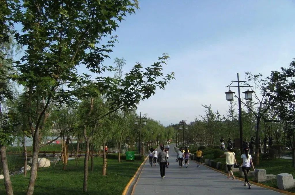 西安 鮮花_西安鮮花基地_西安鮮花網鮮花店同城