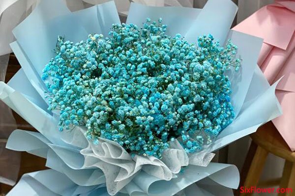 表白送滿天星好不好？表白送哪種花適合？