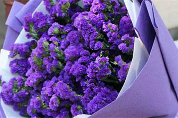 女生送男生花合適嗎 會不會顯得掉價