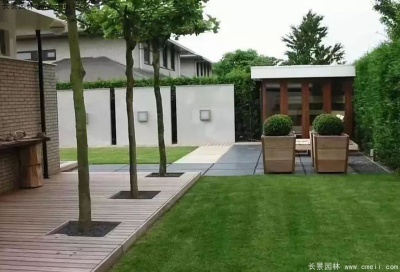 耐陰的爬藤花卉有哪些_花卉耐陰爬藤有那些品種_耐陰的爬藤花