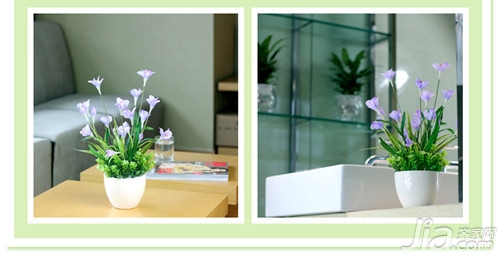什么花適合在臥室養_臥室適合養的花_臥室養適合花草的植物