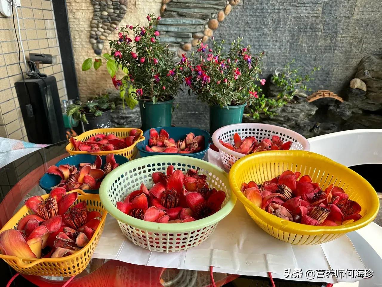 <strong>老人稱它為“英雄花”，又有“祛濕花”之稱，遇見都會撿些帶回家</strong>