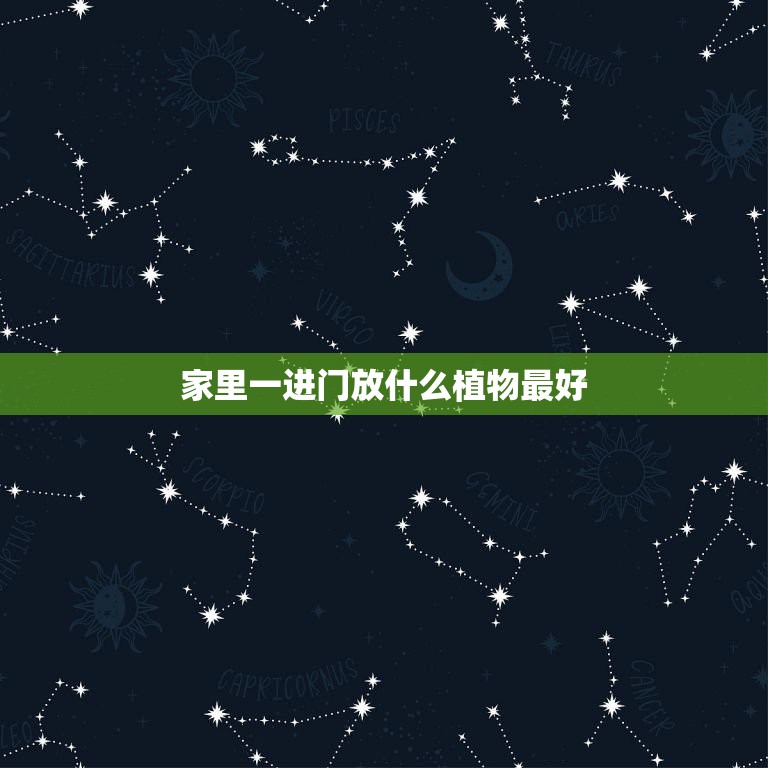 <strong>家里一進(jìn)門放什么植物最好，家居風(fēng)水 一進(jìn)門擺什么植物最好</strong>