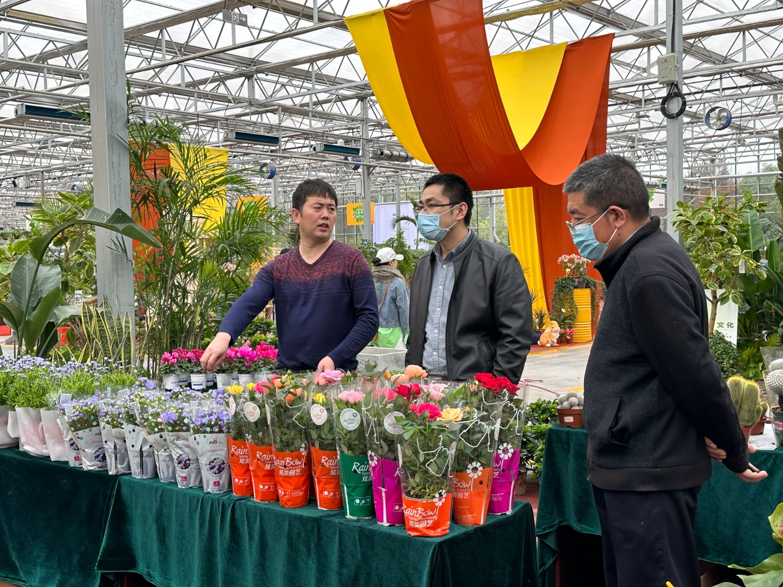 洛陽花卉市場_洛陽花卉市場電話號碼_洛陽市花卉市場營業時間