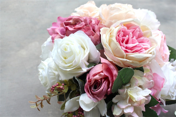 金錢樹怎樣扦插繁殖(描述金錢樹繁殖生根最快方法)